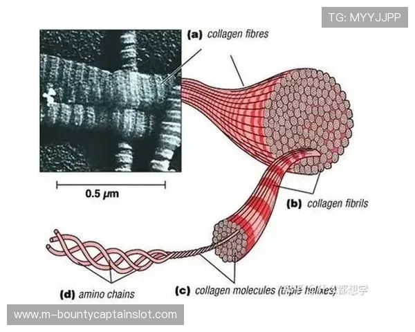 殷正第二轮滑行时间波动因素解析：赛道条件与心理压力